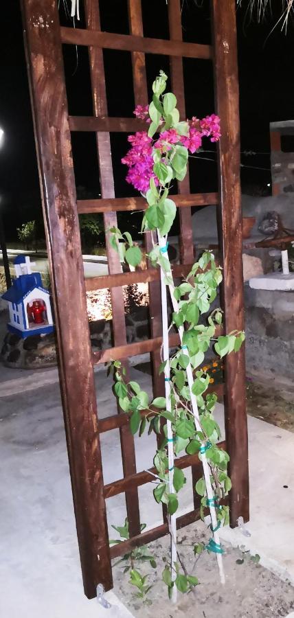 Marika Apartments มัสติคารี ภายนอก รูปภาพ